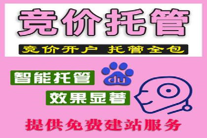 专业竞价SEM托管成功案例解析